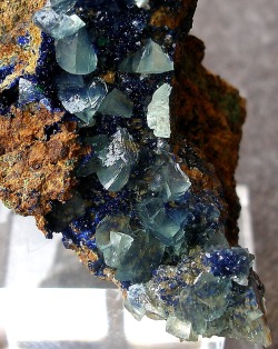 mineralists:  Calcite and Azurite Teresita