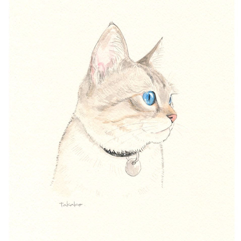 Takako Ide Illustration Takako Ide Illustration