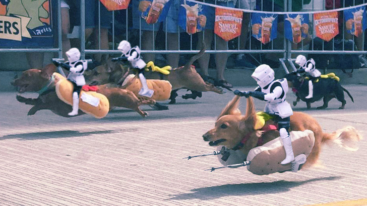 wwinterweb:    PS Battle: Sprinting dachshunds dressed as hot dogs (see 10 more)