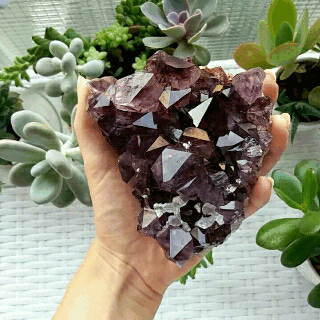 astreathewitch:My new amethyst cluster. I’m in love