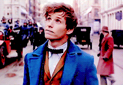 newtonscamandered:“[Newt’s] an oddball. He has this sort of slightly eccentric, nerdy quality to him