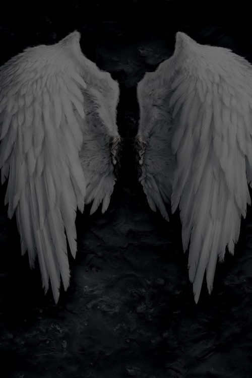 In the Name of Goth
