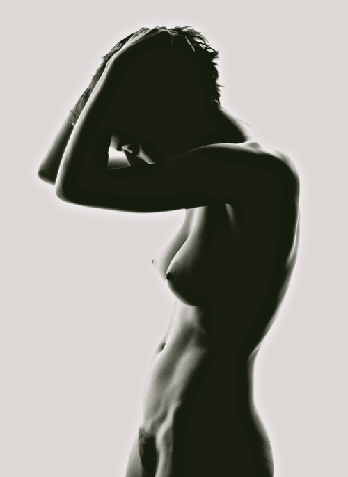 foxphotoart:  Glass Olive From the silhouette on the shade series
