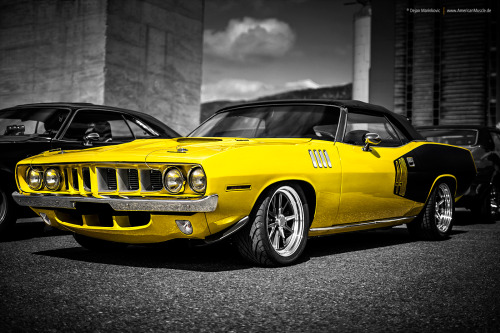 americanmusclepower:  Some of the greatest yellow muscle cars !!!1. 1972 Chevrolet Chevelle2. 1970 Buick GSX3. 1971 Plymouth Barracuda4. 1970 Ford Mustang 5. 1968 Dodge Charger6. 1970 Oldsmobile 442 7. 1970 Mercury Cougar8. 1970 Pontiac GTO