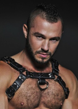 intheroughhouse:  supervillainl:  Jessy is sooo sexy in leather.    For guys into leather, follow me at: intheroughhouse.tumblr.com