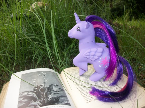 sky-pin:  Ohhh Princess thats not the right plant….