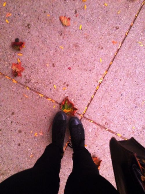fakinq-glory:early morning fall vibes
