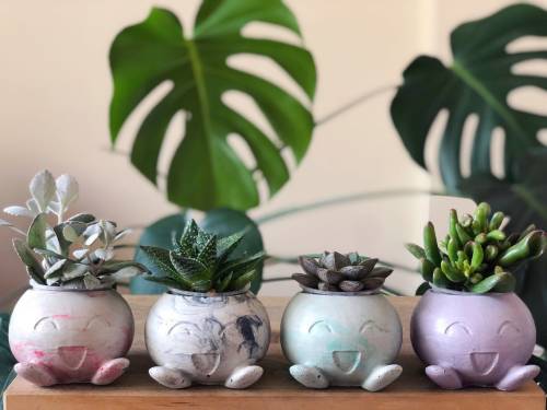 retrogamingblog2:Pokemon Planters made by HomebodyClub