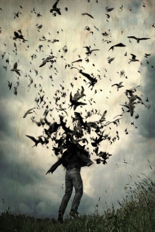 For the thrill of the fall
