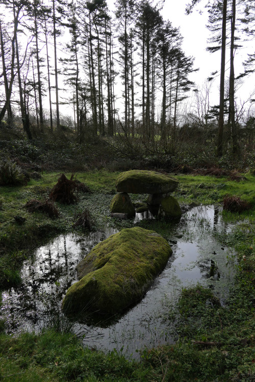 thesilicontribesman: Flooded Cromlech at Parc Glynllifon, North Wales, 16.2.18. It is uncertain whet