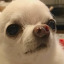 pauppv