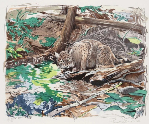Adirondack Bobcat, 1979. Everett Hibbard (1909-1998)