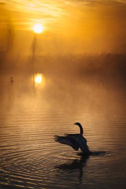 tinnacriss:  (via 500px / Dancing by Alessandro