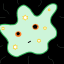 cosmic-slime-mold-consciousness