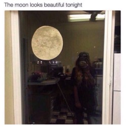 ponytail-pearl:  uberfag:  is that a tortilla   no its the moon   That&rsquo;s soon f*cking awesome funny!! 💕💋