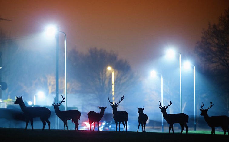 nubbsgalore:  photos by mark smith and mark bridger who document, respectively, the