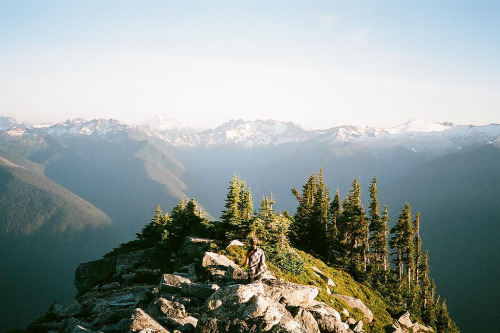 aphelia:  32410013 (by Kellen Mohr)