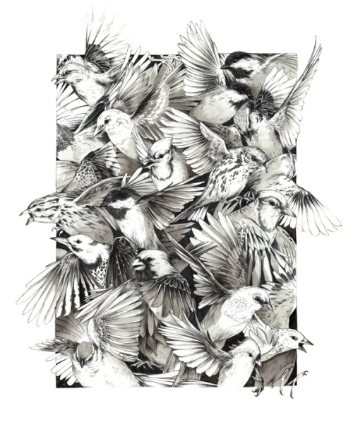 lohrien:  Illustrations by Teagan White website l tumblr 