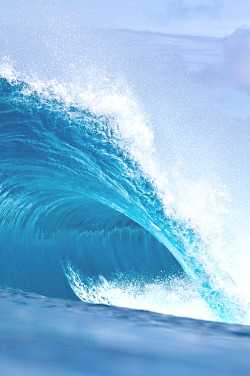 wavemotions:Perfection - Social Rights. by Blake Parker