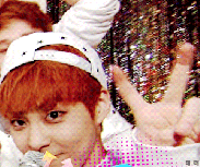 ihaveathingforexo:submission by: Admin Mercydel