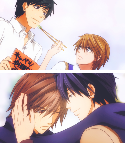 zanarkaand-deactivated20150409:    Junjou Romantica, Junjou Terrorist & Junjou Egoist   