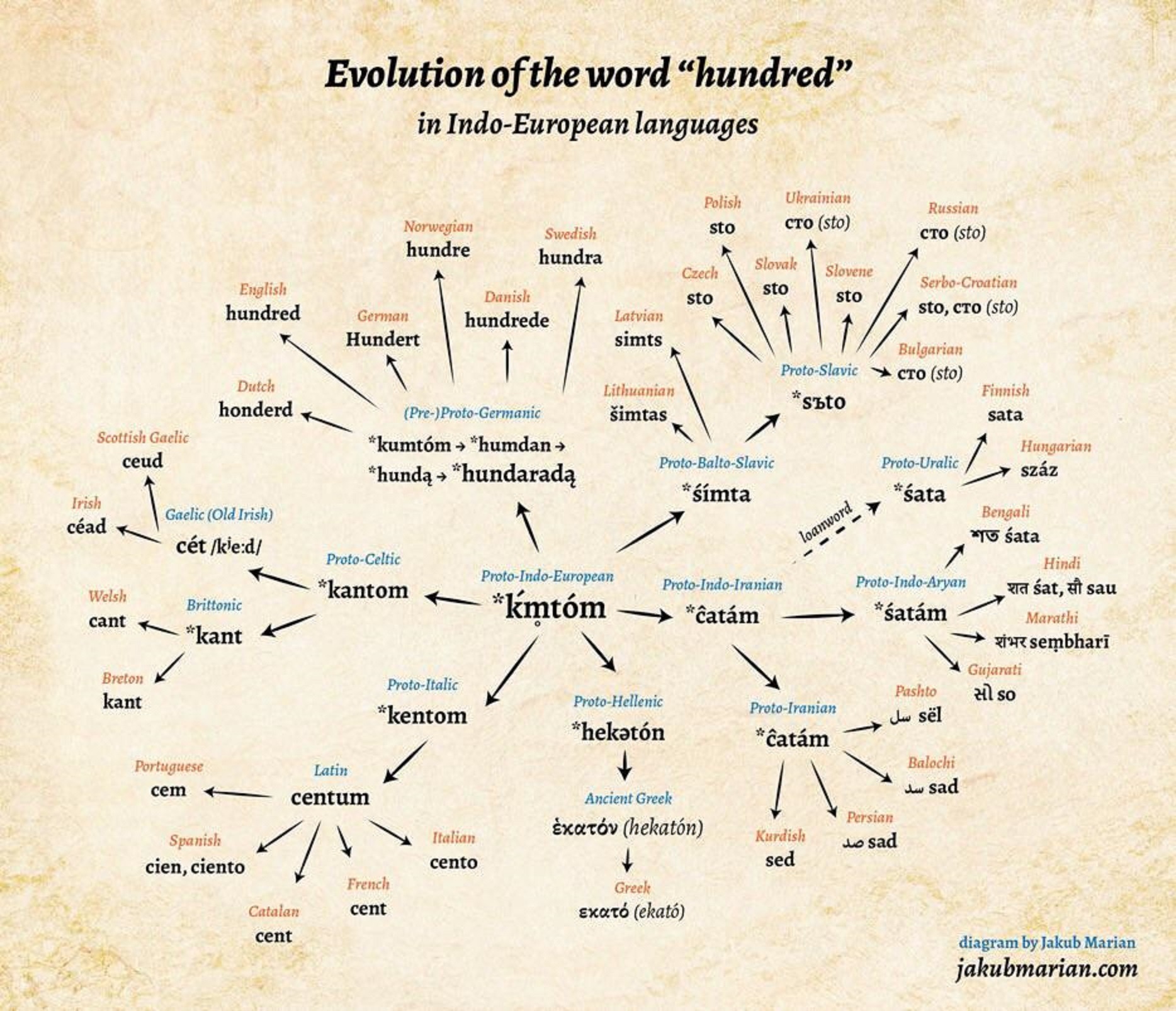 Слова европейских языков. Indo European languages. Indo European languages Tree. Proto Indo European language Tree. Evolution in Indo-European.
