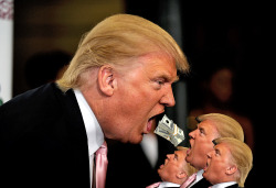 threedogs-toaster:  The Mother Trump feeds it’s Trumplings a small loan of a million dollars