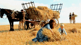 lochiels:COSTUME DRAMA + harvest season (autumn)