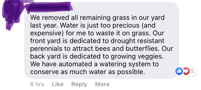 headspace-hotel:Mom sent me a facebook link to a PBS news hour post about how the anti-lawn movement is growing. The vast majority of the comments on it were stuff like this: Most people are on our side here, even the so-called “boomers.”