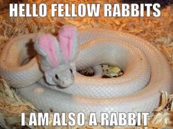 Bynightstudios:  The Followers Of Set Wish You A Happy Easter 