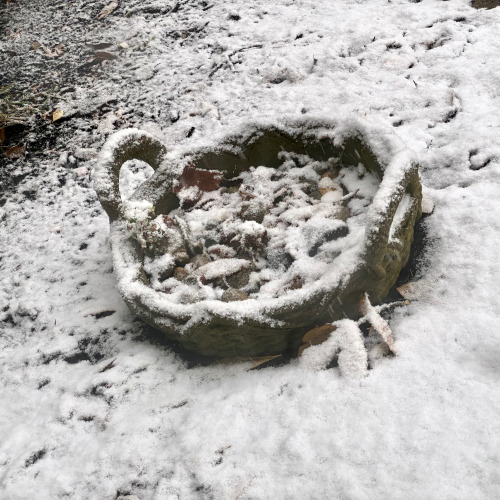 Gift Basket A garden ornament covered with early October snow. Stoneham, MA.