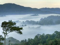 natgeotravel:  Mist weaves through Rwanda’s Nyungwe