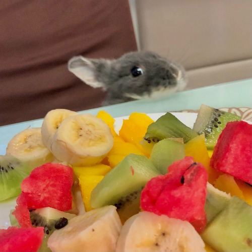 Trying To Steal Some Fruit
