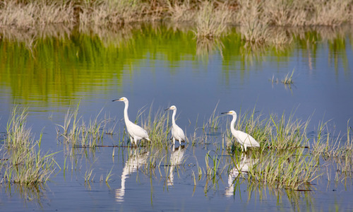 ecowatchorg:EPA Rule Would Close Loopholes in Clean Water Act, Restore Protections for Streams and W