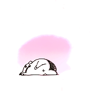 antheise: Natsume Yuujinchou Roku → Nyanko-sensei + breaks (^・ω・^ ) 