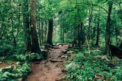 joslo:  	Rainbow Falls Trail by Jason Parker