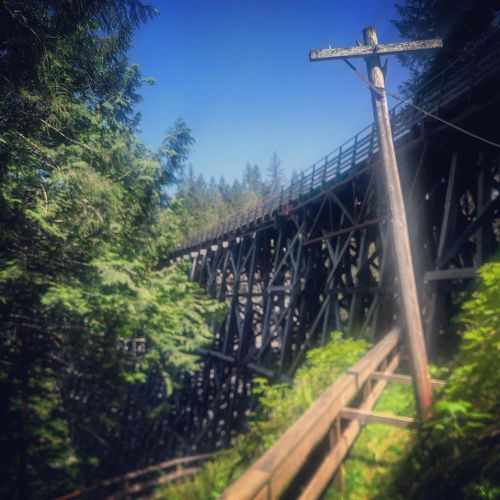 First #hike since injuring my #knee&hellip; The #cowichanvalleytrail is gorgeous and the #tressl