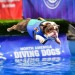 surprisedentistry:someone took pictures of a bulldog doing dog sports and i can’t