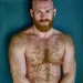 hairyobsessionss:Ginger obsession https://hairyobsessionss.tumblr.com/Hairy Furry Men