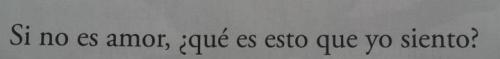 Porn hachedesilencio:  Si no es amor, ¿qué es photos