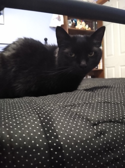 Like, Buddy, I'm Doing This For You. Please Stop Glaring.