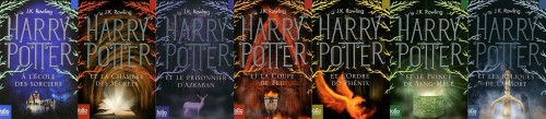 yogi-bare:  Different Harry Potter covers. porn pictures