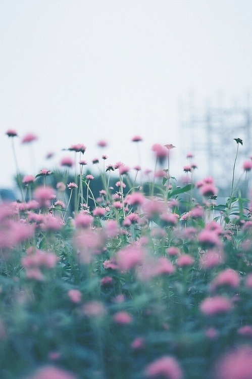 breathe