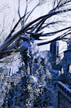 gamerism:ALTALTALTALTALTALTALTALTDRAGON AGE INQUISITION: EMPRISE DU LION - SULEDIN