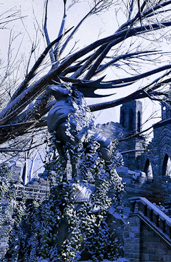 gamerism:ALTALTALTALTALTALTALTALTDRAGON AGE INQUISITION: EMPRISE DU LION - SULEDIN