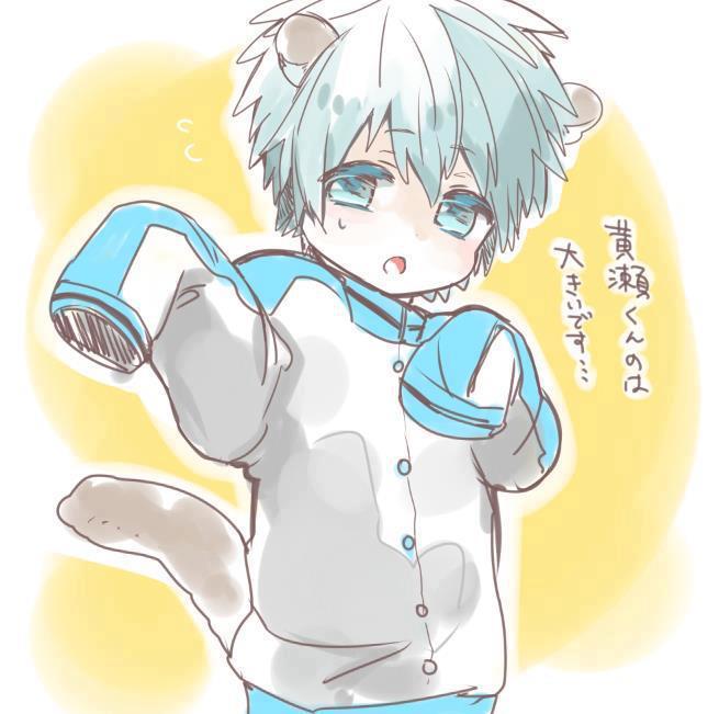 anythingkurobasu:  Kawaii Kuroko! 黄黒らくがきログ Pixiv ID: 28318730Member: シオ子