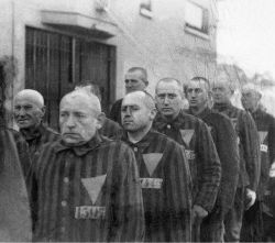lgbt-history-archive:  Prisoners wearing the pink triangle (marking them as homosexuals), Sachsenhausen concentration camp, Sachsenhausen, Germany, December 19, 1938. Photo c/o CORBIS. [TW] Between 1933 and 1945, the Nazi regime oversaw the arrest of