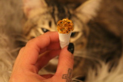 tattooedstonerbitch:twaxed-tip joints &amp; a cat named Dabs :3