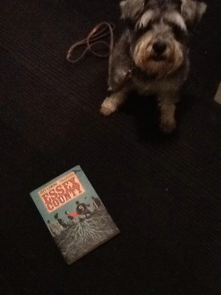 new blog feature!
Pagin’ Pups
“Bowser the Schnauzer” poses with his favorite book, Jeff Lemire’s ESSEX COUNTY collection. Check it out in our highly curated Canadian author section at the shop…