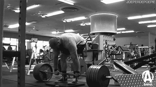 joeperdepoepie:  Brent Willis Training May 2014 | Stiff Leg Deficit Deadlifts 585lbs/265kg [x] 